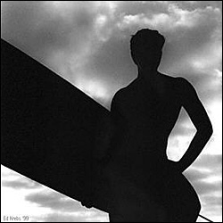 Enter Ed Krebs Photography